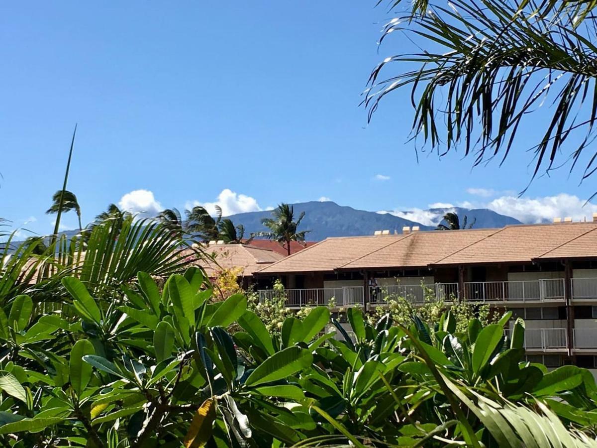Apartament Perfect For Families And Couples - Maui Sunset A-203 Kihei Zewnętrze zdjęcie